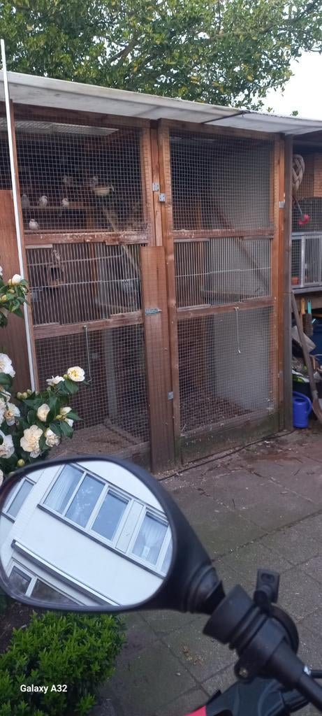 Vogelkooi voor buiten, Dieren en Toebehoren, Vogels | Hokken en Kooien, Ophalen, Volière