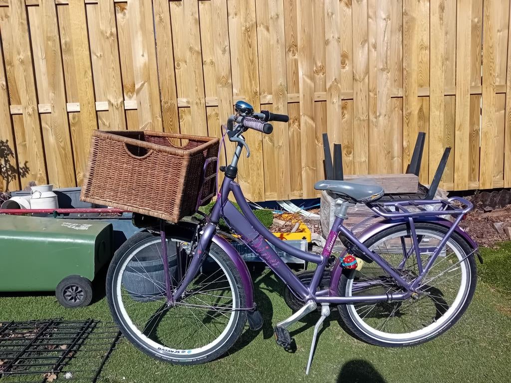 Batavus Diva fiets met mand - 24 inch, Fietsen en Brommers, Ophalen, Gebruikt, 24 inch