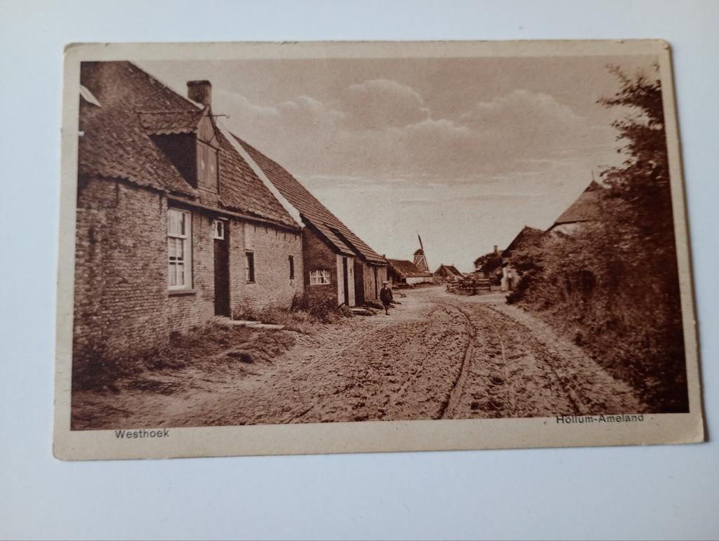 Ameland Hollum Westhoek 1931, Ophalen of Verzenden, 1920 tot 1940, Gelopen, Waddeneilanden