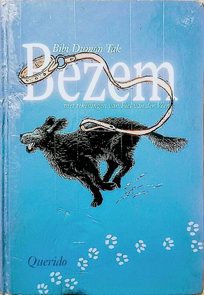 Bezem, Boeken, Gelezen, Fictie algemeen, Ophalen of Verzenden, Bibi Dumon Tak.