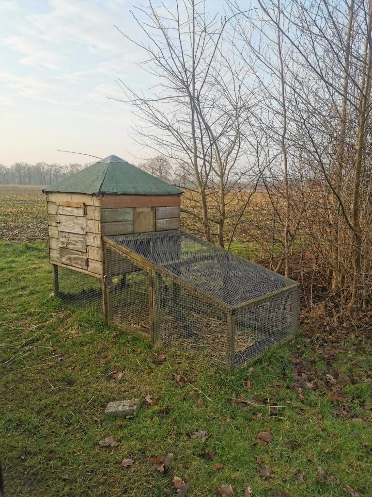 Robuust kippenhok, Ophalen, Gebruikt, Kippenhok of Kippenren