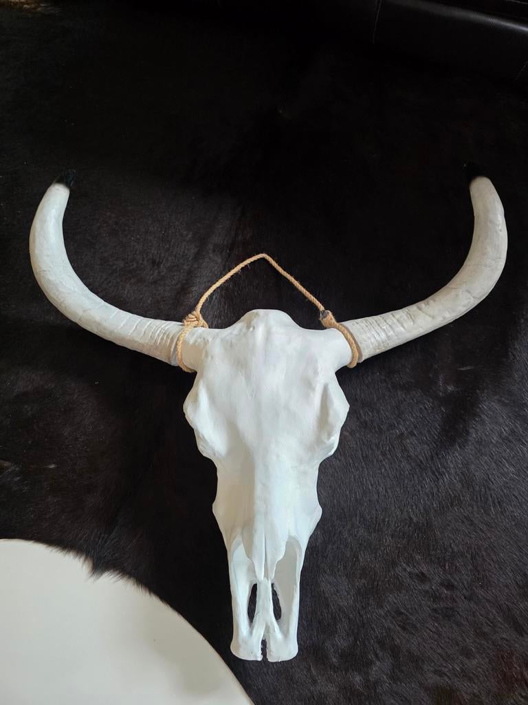 Wit Bizon skelet met hoorns, Ophalen, Beeldje of Figuurtje