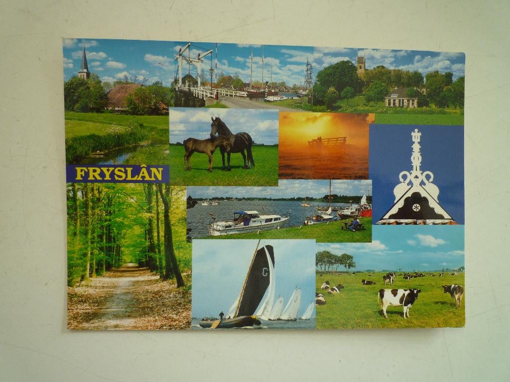 Fryslan Friesland paarden zeilboten koeien kerk, Ophalen of Verzenden, Voor 1920, Friesland