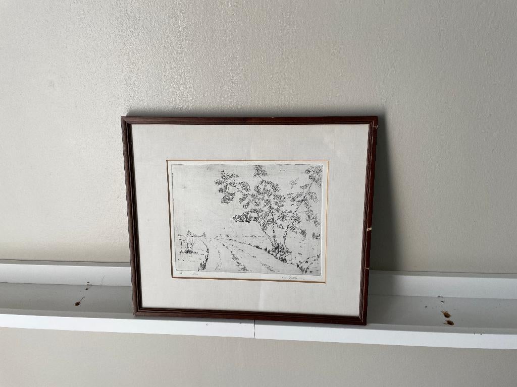 Koos Posthumus - ets 3/4 laan met berkenboom, Ophalen of Verzenden