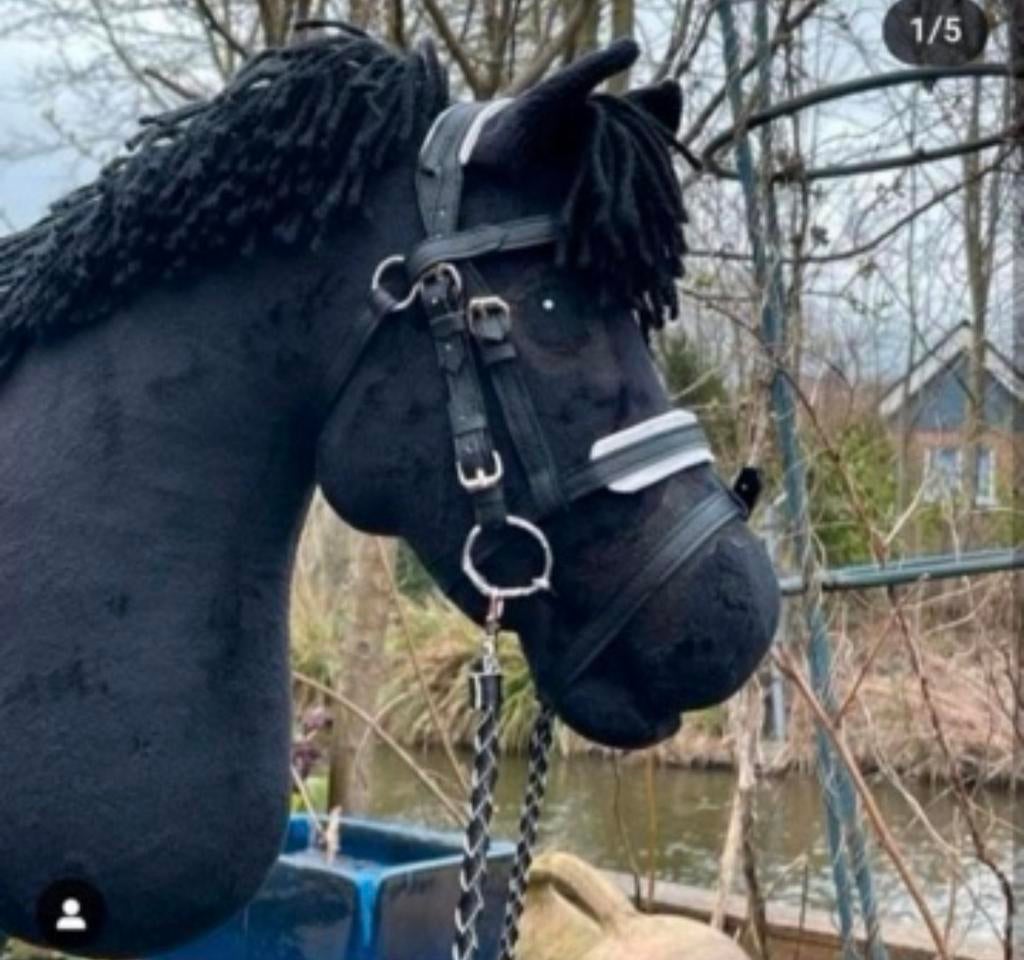 Mooie hobbyhorse, Ophalen of Verzenden