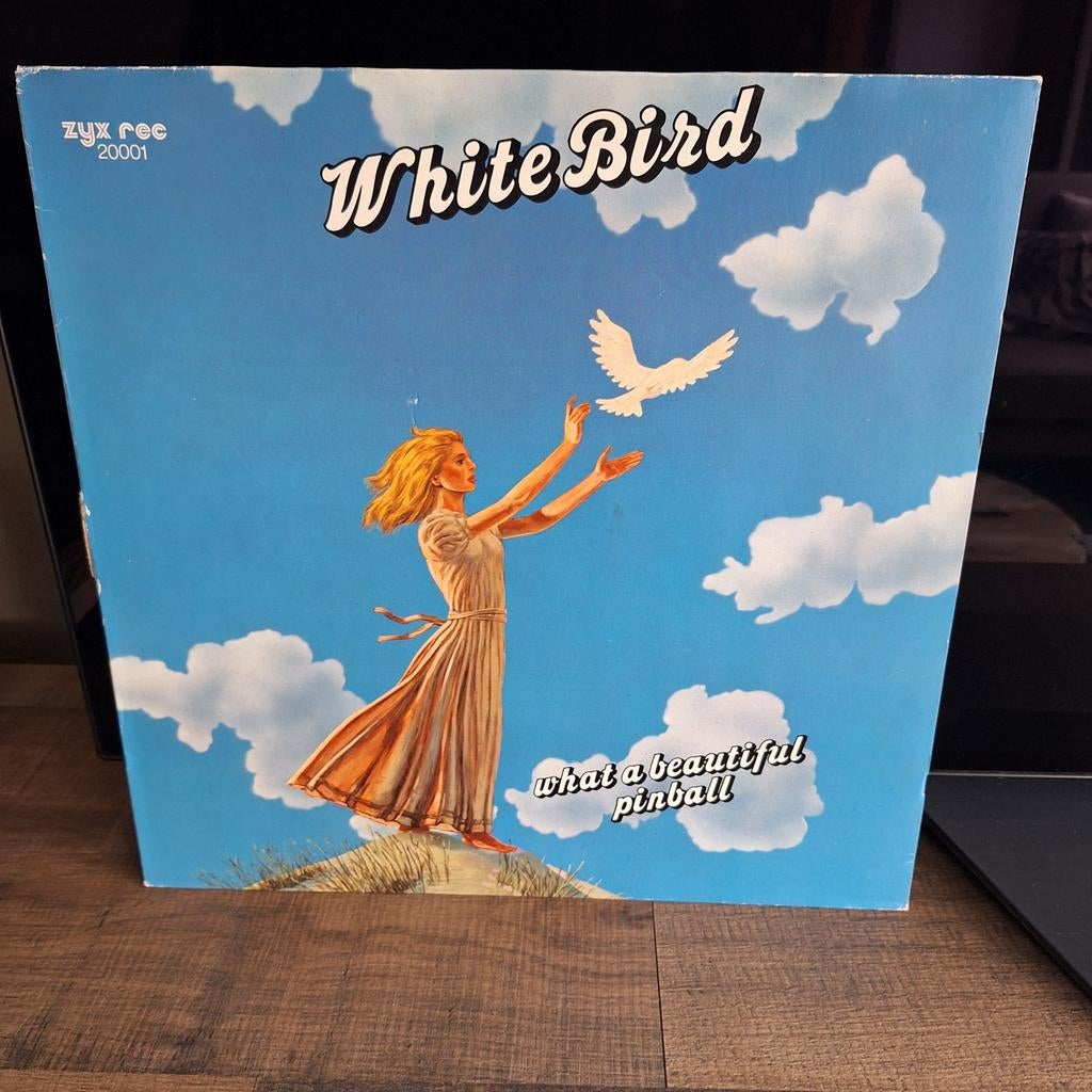 White bird what a beautiful pinball, Ophalen of Verzenden, Gebruikt, 12 inch, Poprock