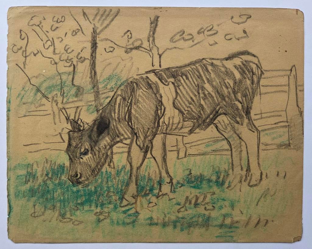 Gert Stegeman 1858-1940. Krijttekening. Koe., Ophalen of Verzenden