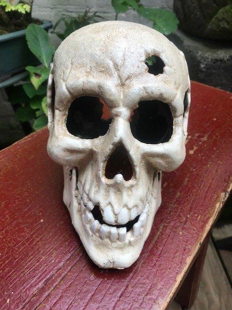 mooie grote metalen SKULL/SCHEDEL, Ophalen of Verzenden