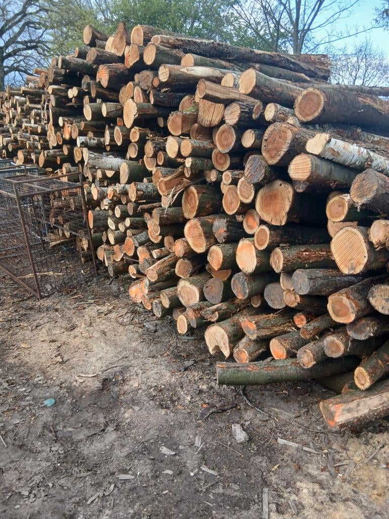 Stamhout, Tuin en Terras, Haardhout, 6 m³ of meer, Ophalen of Verzenden