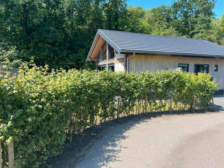 VRIJ VAN 13  T/M 17 APRIL EN IN DE ZOMER VAN 3T/M 24JULI !!, 2 slaapkamers, Aan zee, Landelijk, Chalet, Bungalow of Caravan