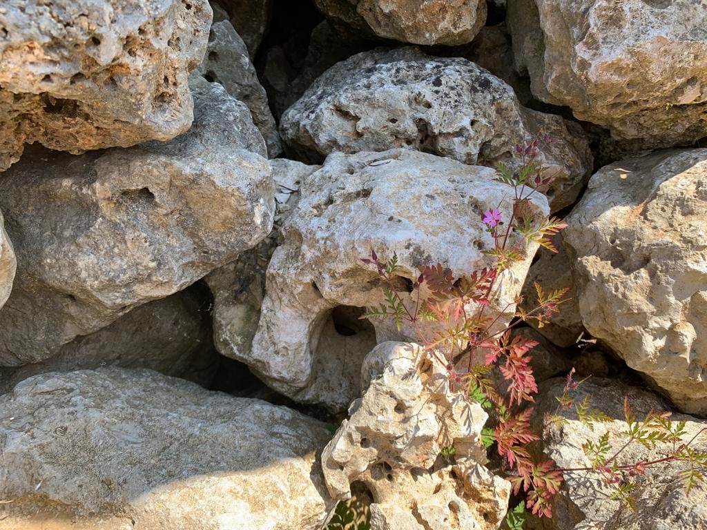 Gele Maanstenen Aquarium Vijverstenen natuursteen