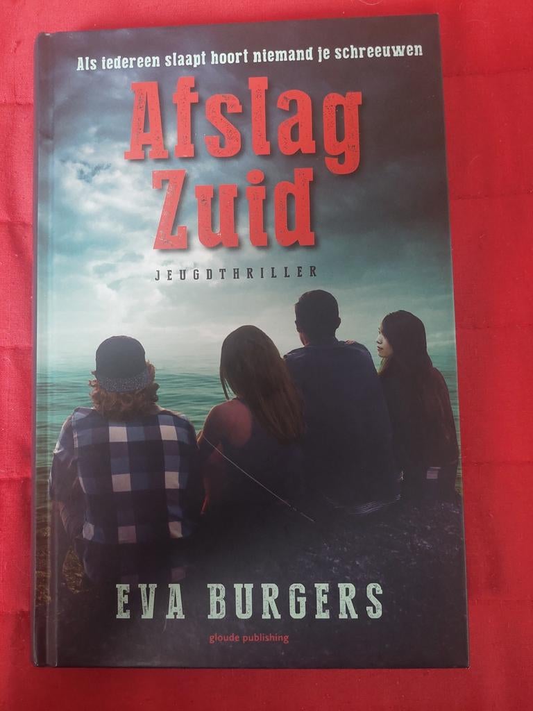 Eva Burgers Afslag zuid, Boeken, Ophalen of Verzenden, Zo goed als nieuw, Nederland