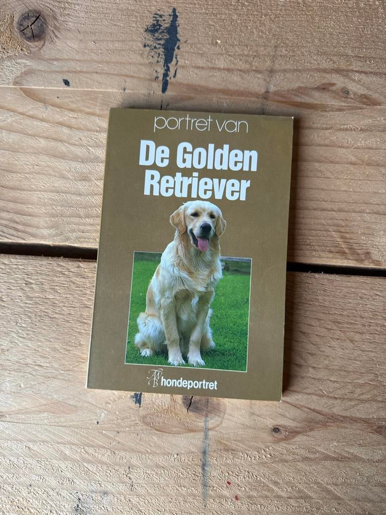 Portret van de Golden Retriever - Hond, Ophalen of Verzenden, Gelezen, Honden