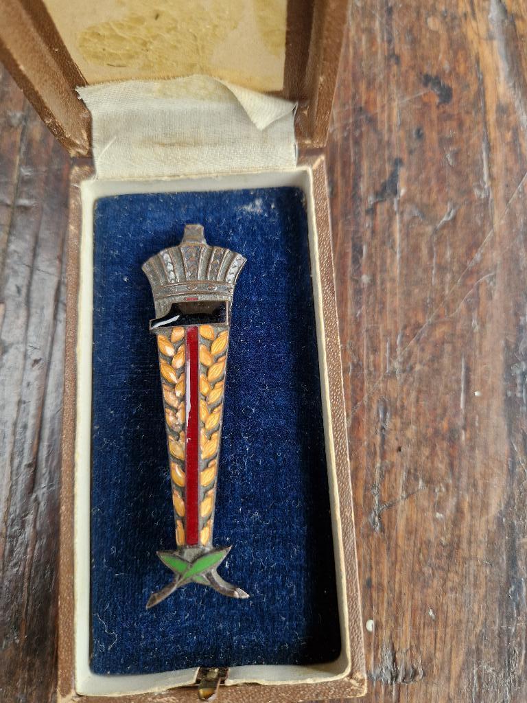 mooie emaille opsteekspeld uit 1935 in origineel doosje, Ophalen of Verzenden