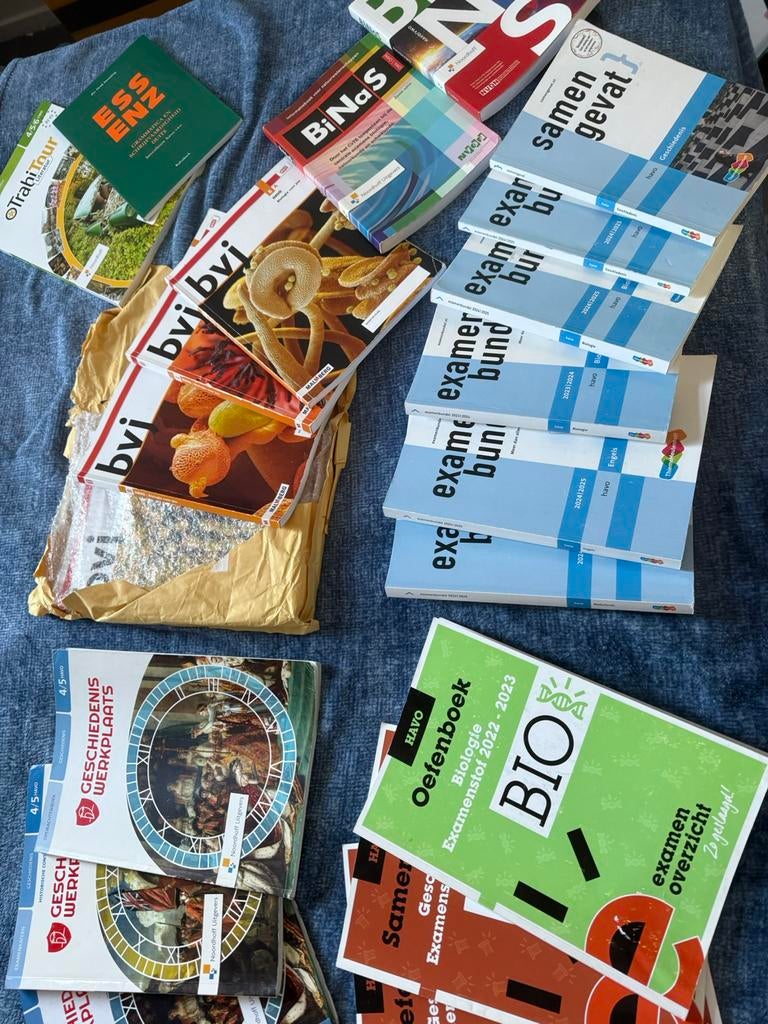 HAVO schoolboeken en Duits VWO (Examenbundels zijn verkocht), Boeken, Ophalen of Verzenden, Zo goed als nieuw, HAVO