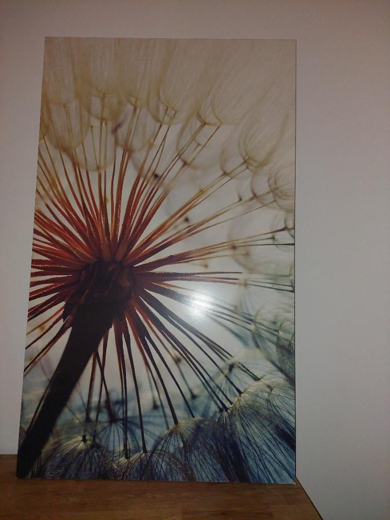 Muur decoratie, Ophalen, Gebruikt