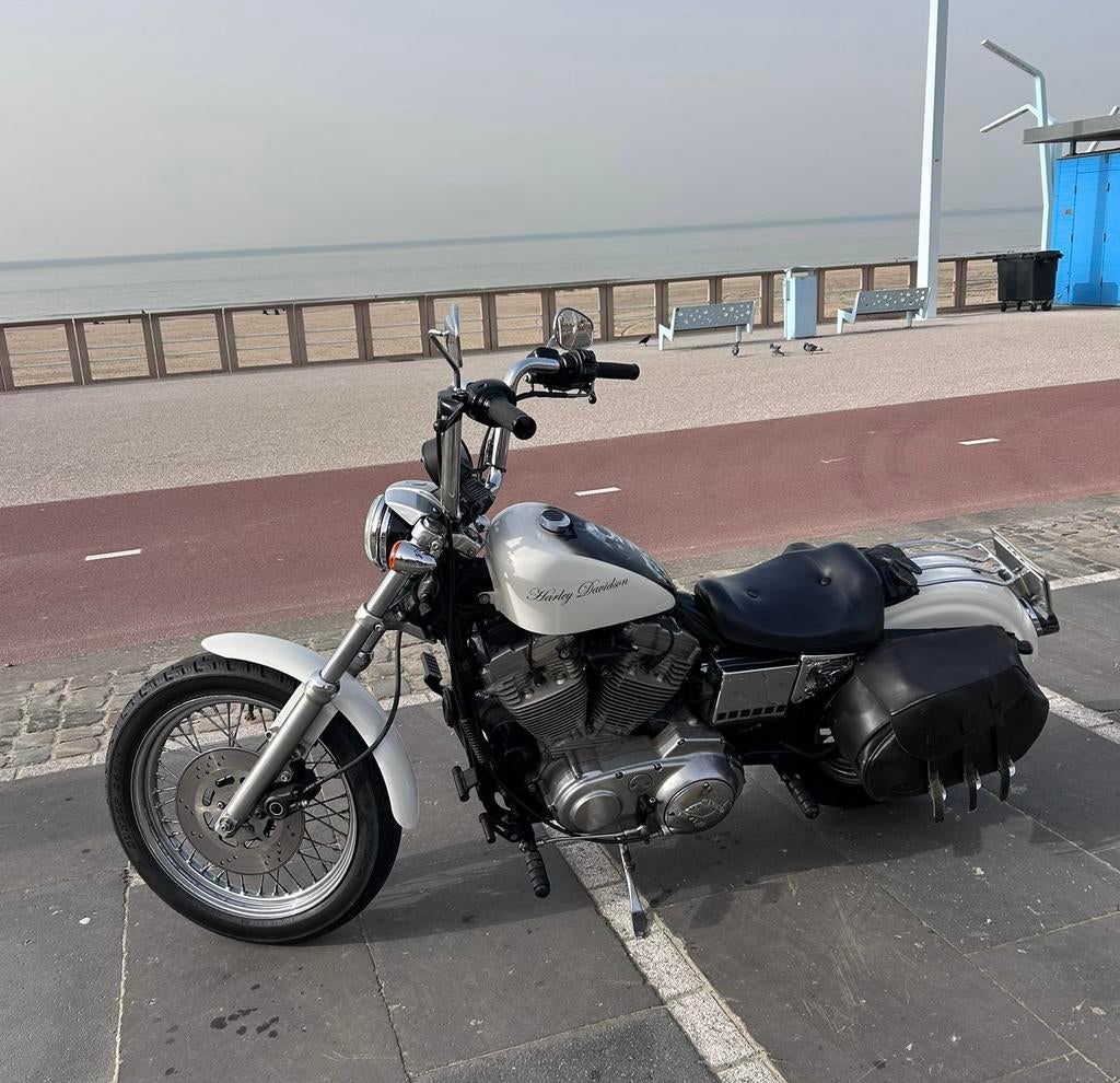 Harley Davidson Sportster 883-1996–Custom Bobber+Org. lakset, Motoren, Motoren | Harley-Davidson, Particulier, Chopper