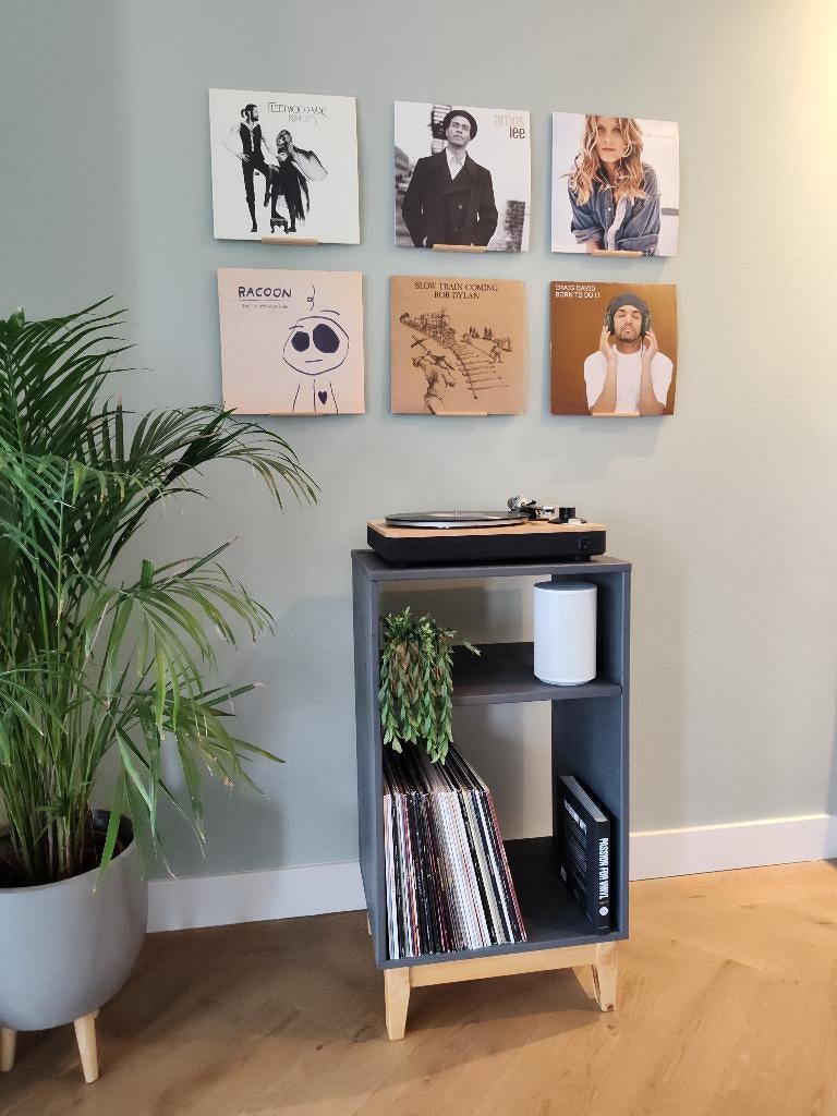 Vinyl lp platen opbergkast - opbergen lp vinyl platen - boekenkast - 2 vakken - wit