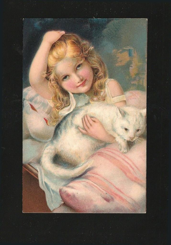 Ansichtkaart Poezen  D19-14, Verzenden, Voor 1920, Gelopen, Overige thema's