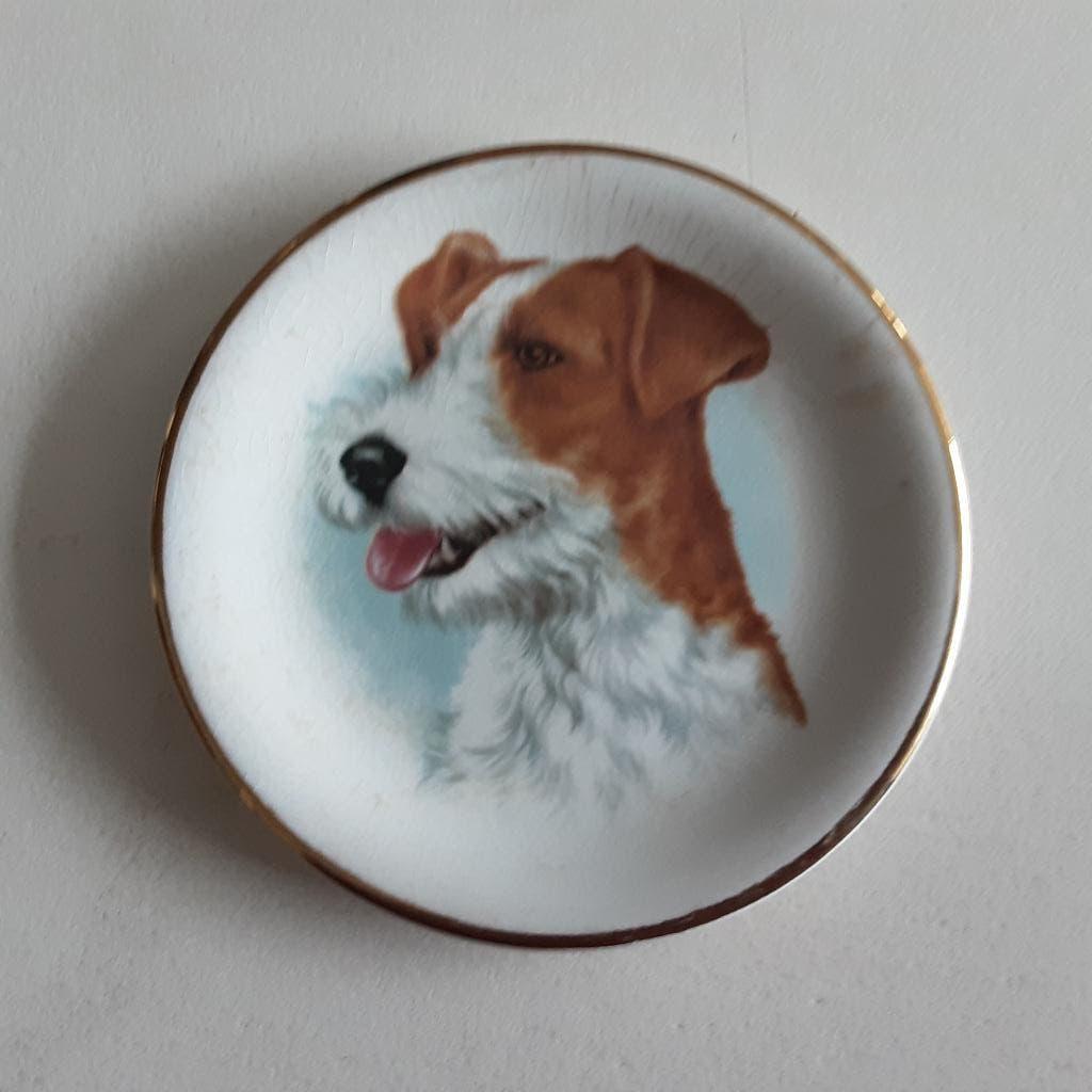 Sierbordje Jack Russel Terriër, Ophalen