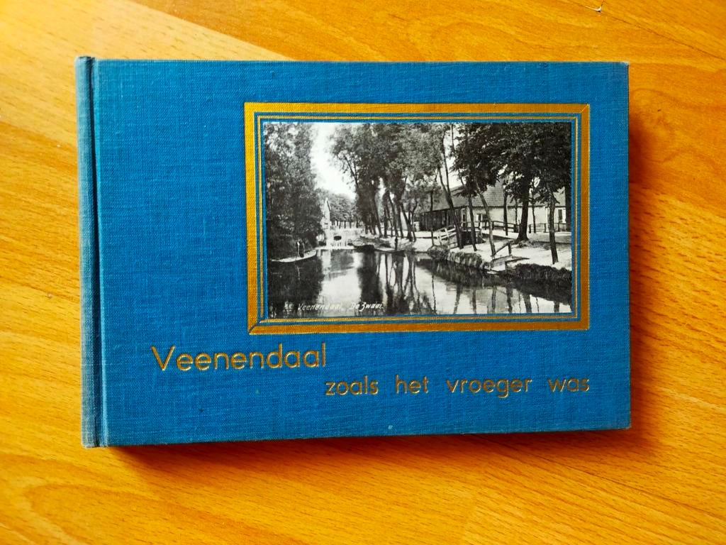 Veenendaal zoals het vroeger was (1968), Boeken, Geschiedenis | Stad en Regio, Ophalen of Verzenden, 20e eeuw of later, Gelezen