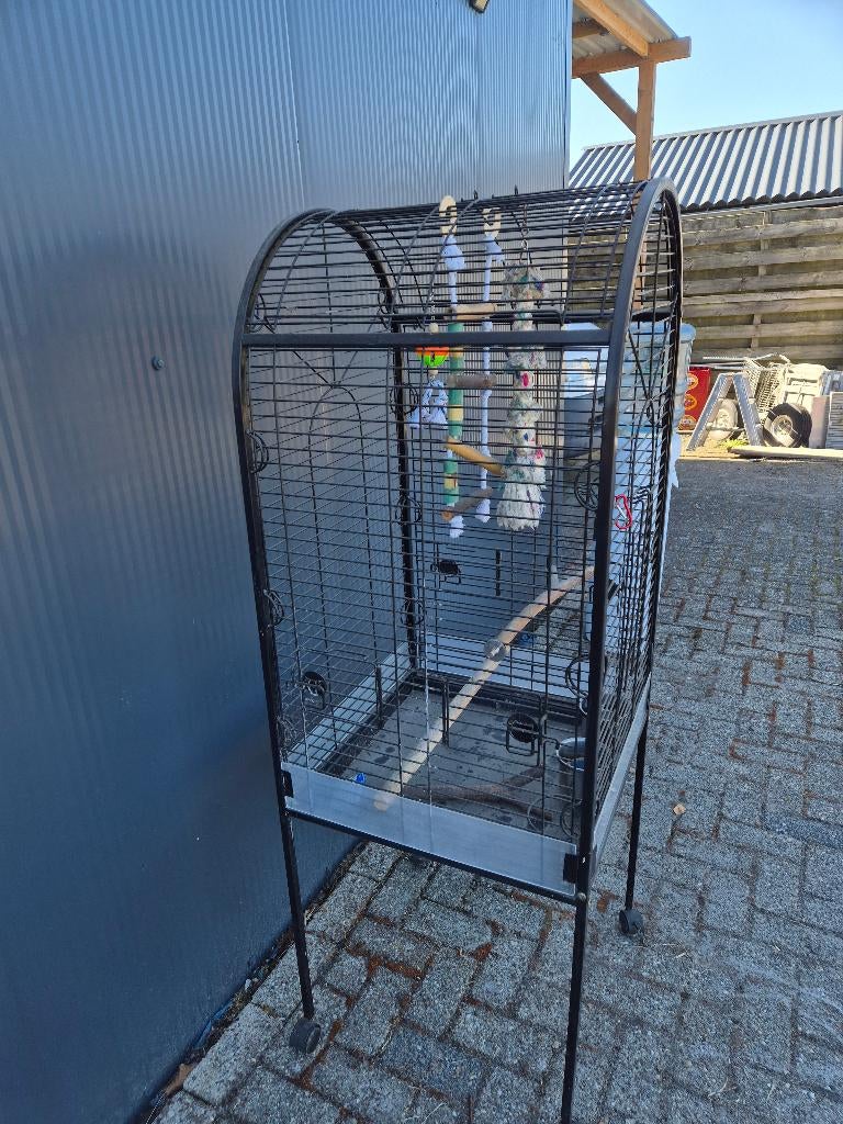 Vogelkooi, Dieren en Toebehoren, Mannelijk, Parkiet