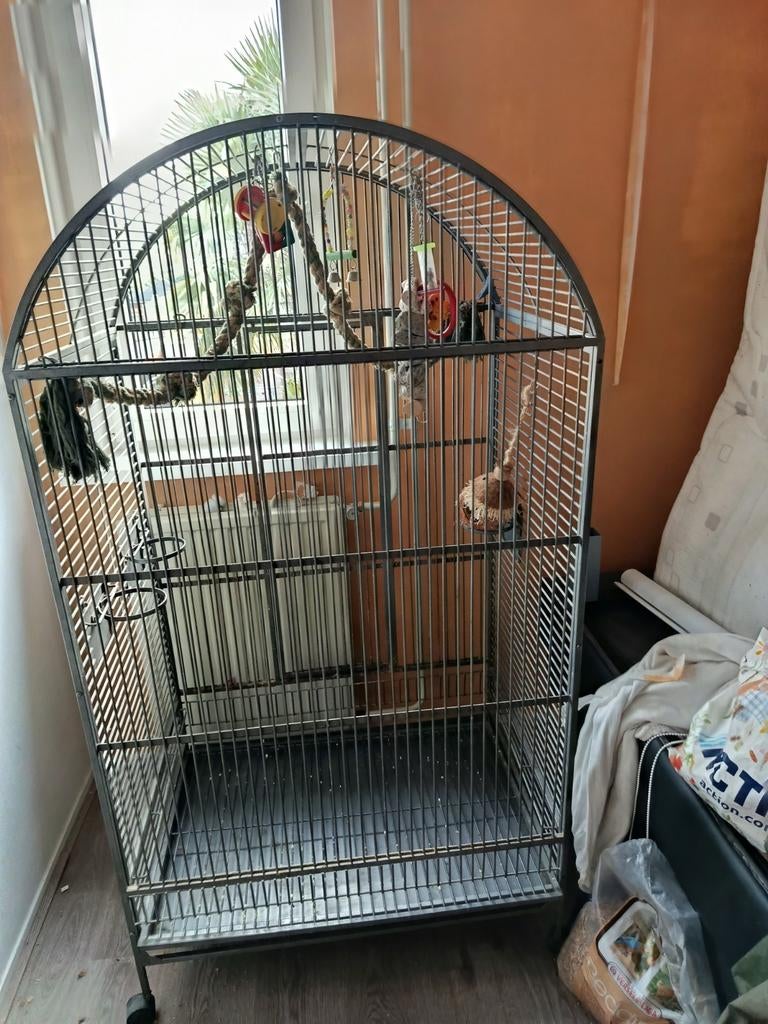 Mooie papegaai Kooi tekoop, Dieren en Toebehoren, Vogels | Hokken en Kooien, Ophalen, Zo goed als nieuw, Metaal, Vogelkooi