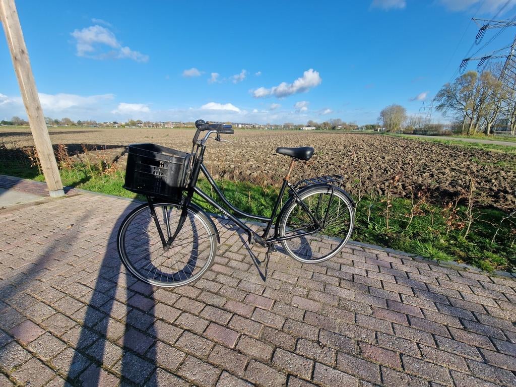 Omafiets retro met mand, Ophalen, Gebruikt