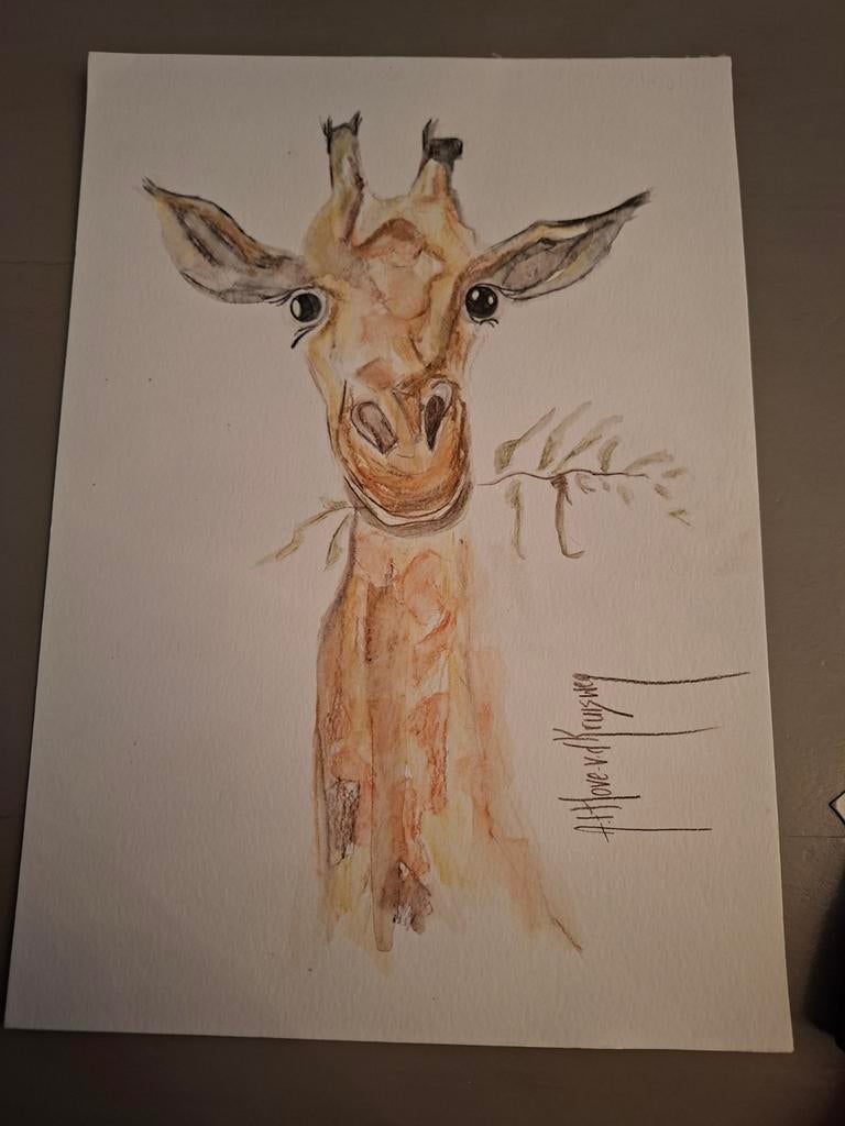 Originele aquarel tekening giraffe - A4 formaat, Antiek en Kunst, Ophalen of Verzenden