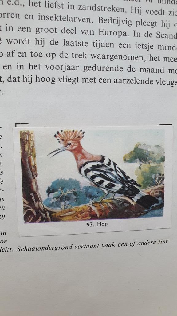 Rizla Zo leer je vogels kennen boekje met plaatjes, Ophalen of Verzenden, Gelezen