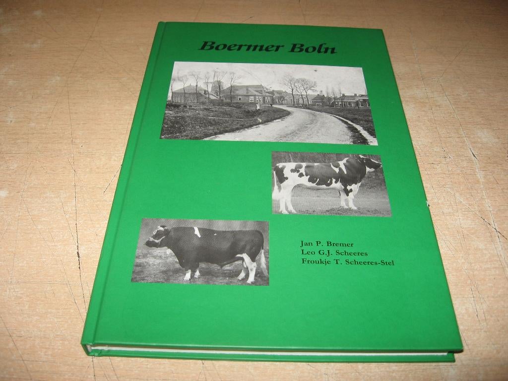 Jan P.Bremer      Burum     Boermer Boln, Boeken, Ophalen of Verzenden, Zo goed als nieuw