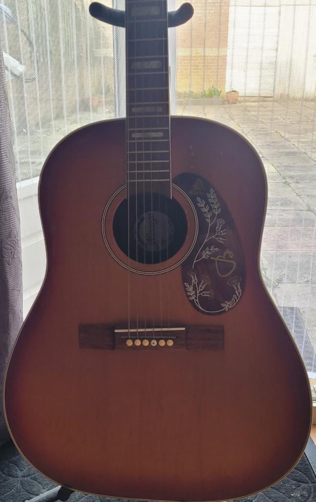 Bjarton J-45 gitaar, Ophalen, Gebruikt, Western- of Steelstringgitaar