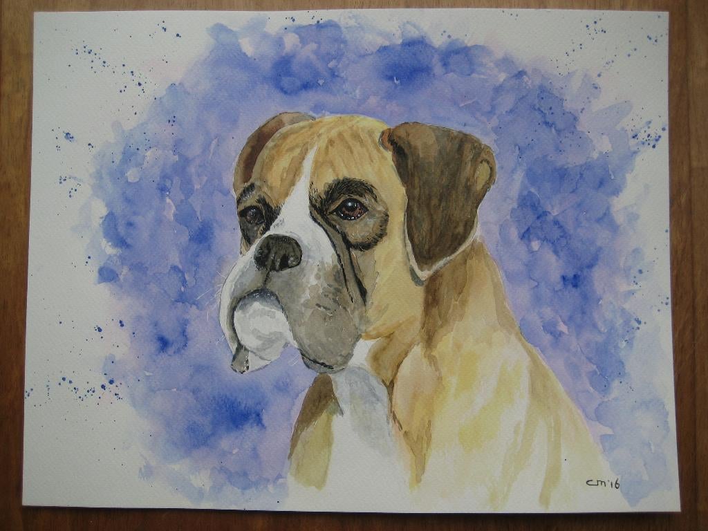 Aquarel Boxer, 35 x 27 cm., Ophalen, Minder dan 50 cm, Oorspronkelijke maker, Nieuw