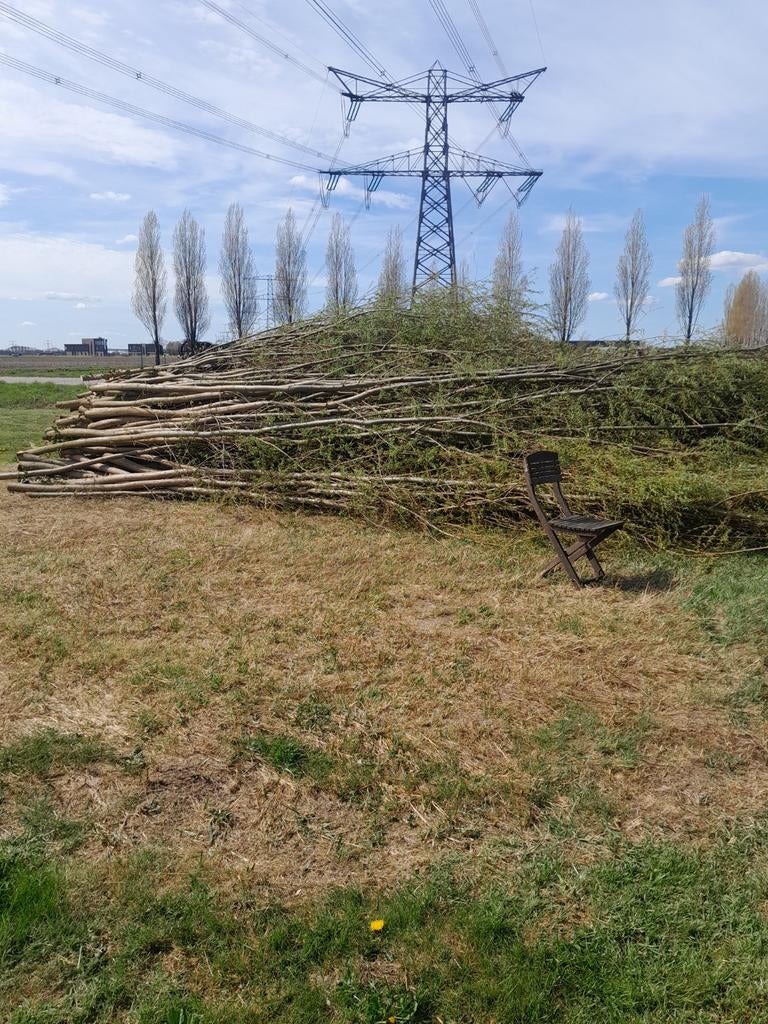 Wilgentakken gratis af te halen, Ophalen, Overige soorten