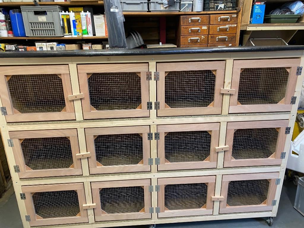 Flat 6 hokken, 110 cm of meer, Nieuw, Ophalen of Verzenden, Hamster