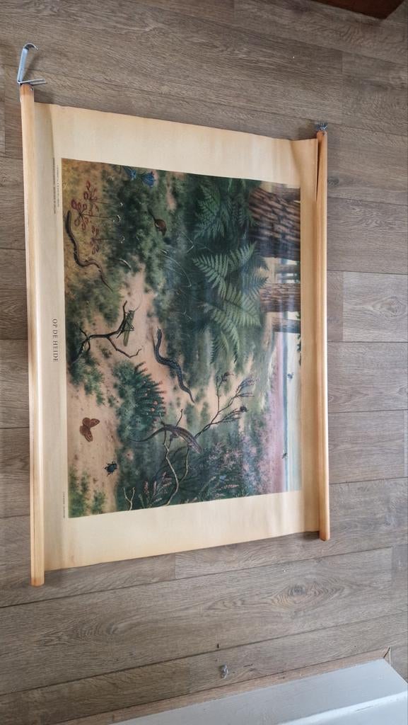 Vintage schoolplaat 'Op de Heide' - Natuur en Biologie, Ophalen of Verzenden