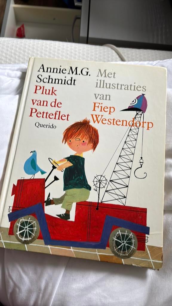 Pluk van de pattenflet, Ophalen of Verzenden, Gelezen, Fictie algemeen