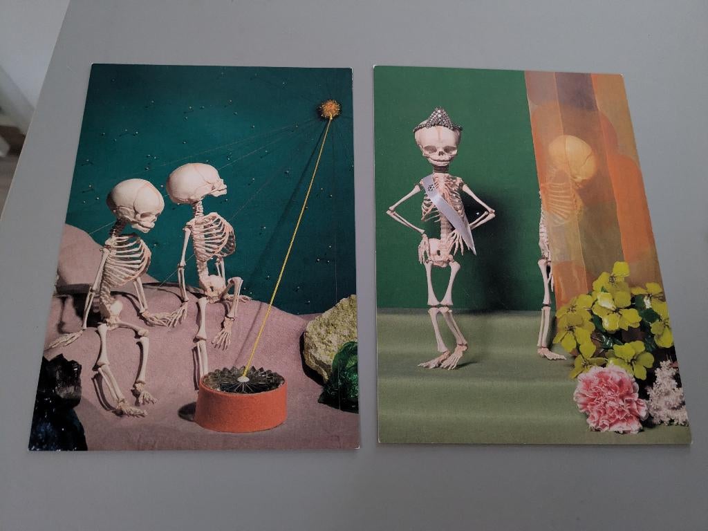 Ansichtkaarten Fotograaf des Vaderlands Koen Hauser, Ophalen of Verzenden