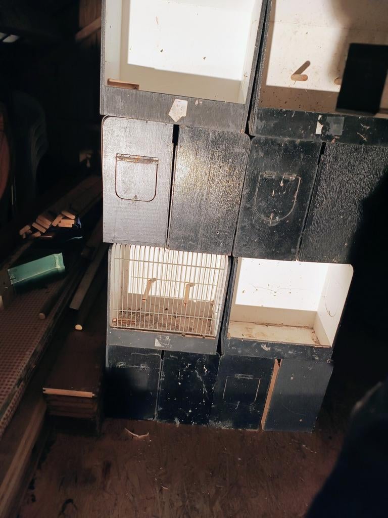 TT kooien, Dieren en Toebehoren, Vogels | Hokken en Kooien, Ophalen, Gebruikt, Hout, Overige typen