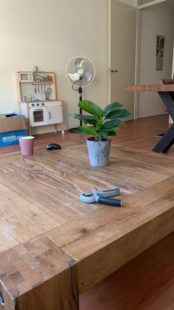 Goossens Salontafel - Prima Staat!, Ophalen of Verzenden, Halfschaduw, Minder dan 100 cm