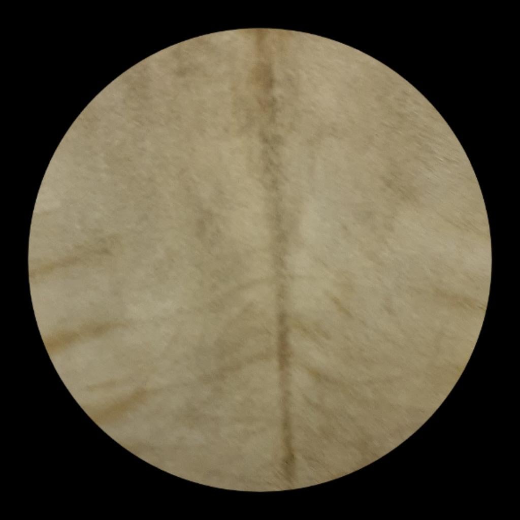 Paardenhuiden voor drums - 60cm - diverse kleuren, Overige merken, N.v.t., N.v.t., Nieuw