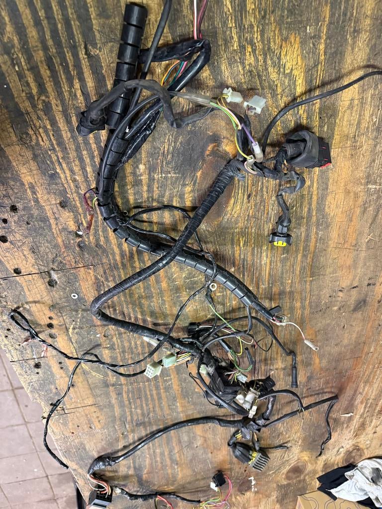 Derbi Gpr Racing Kabelboom vanaf 2009, Frame, Gebruikt, Derbi, Derbi