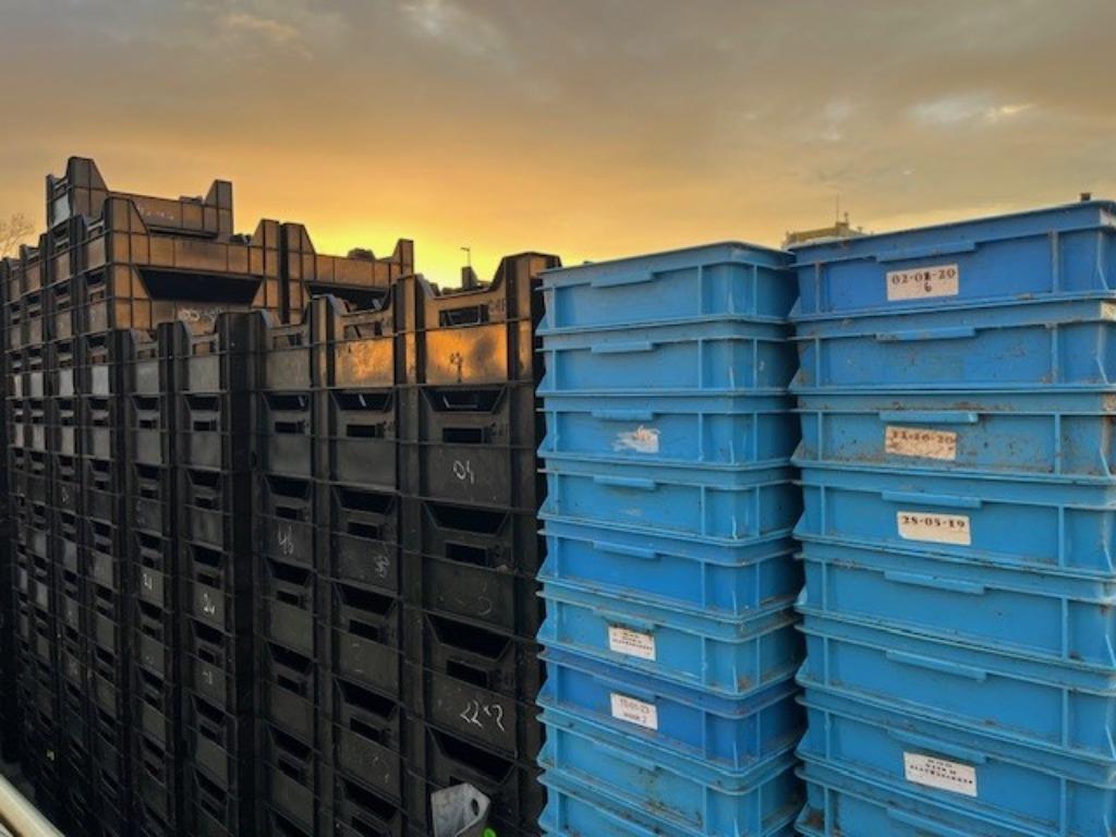 kunststof opbergkrat/ magazijn  2.25€, Gebruikt, 40 tot 60 cm, Minder dan 35 cm, Minder dan 50 cm