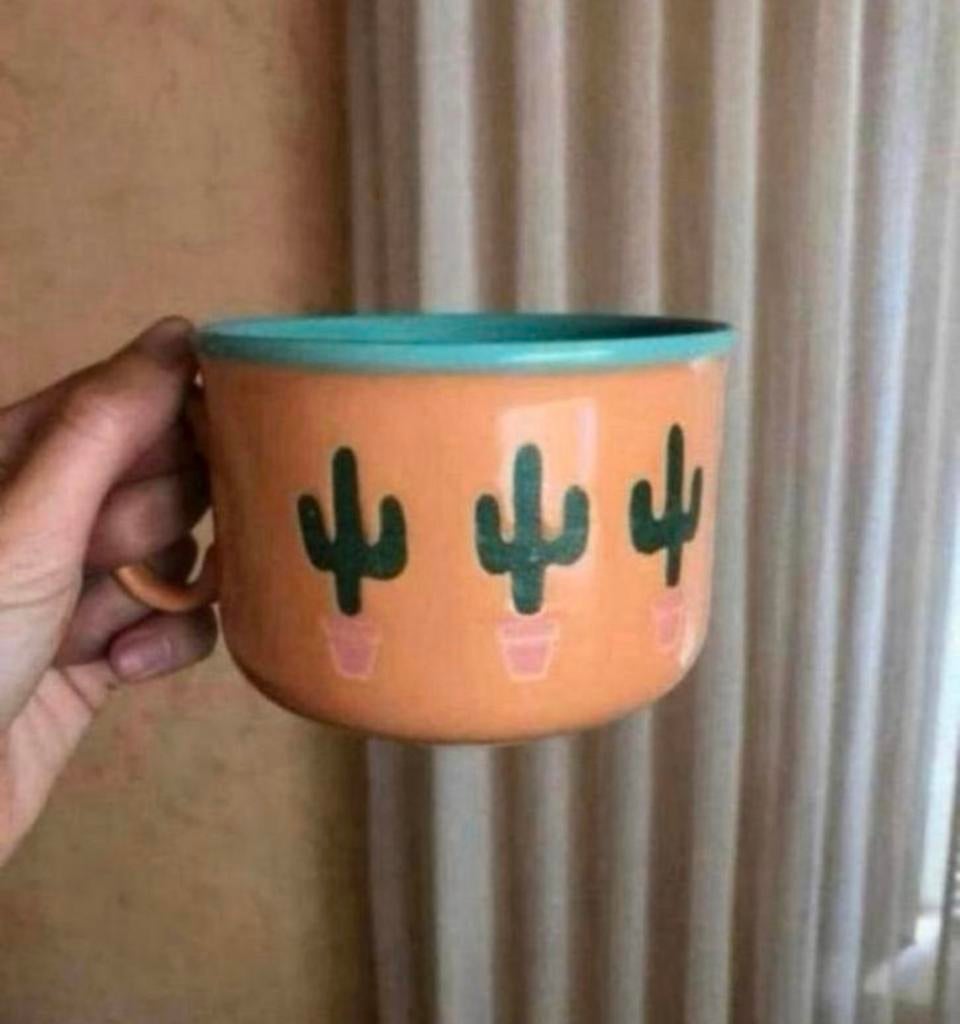 Twee grote mokken / kommen met cactussen uit engeland, Ophalen of Verzenden, Zo goed als nieuw