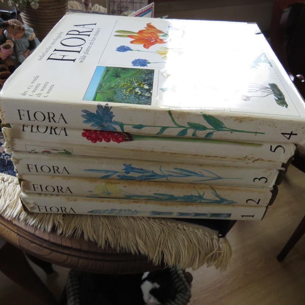 nederlandse oecologische flora 5 delen, Boeken, Natuur, Bloemen, Planten en Bomen, Diverse auteurs, Ophalen of Verzenden, Zo goed als nieuw