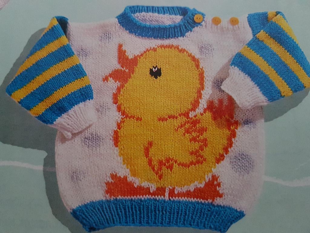 Eendje trui breipatroon, Hobby en Vrije tijd, Breien en Haken, Ophalen of Verzenden, Zo goed als nieuw, Breien, Patroon of Boek