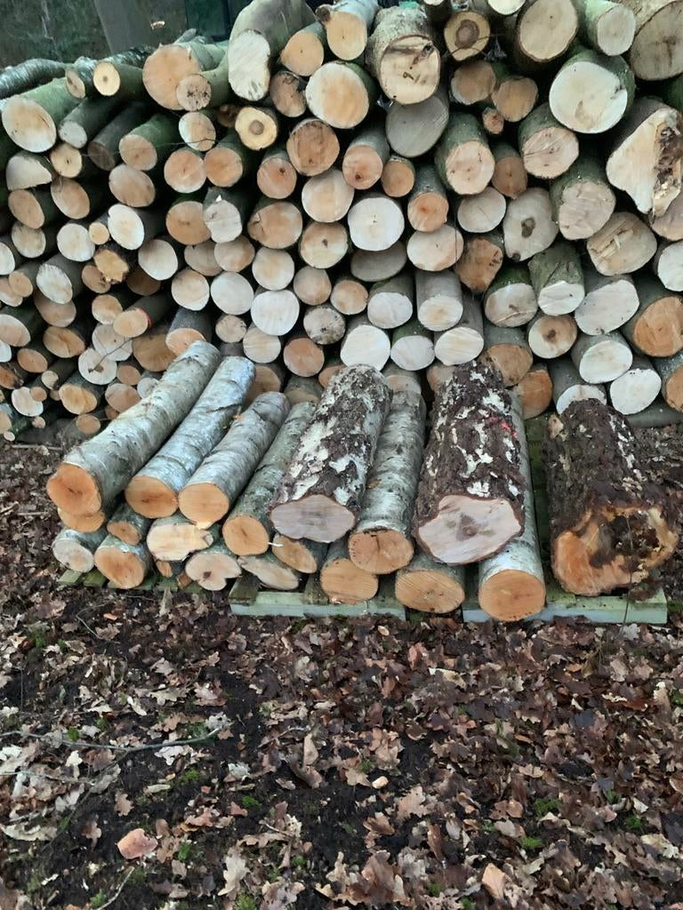 Berkenhout per m3 - Ook andere houtsoorten!, Tuin en Terras, Haardhout, Minder dan 3 m³, Ophalen, Berkenhout, Blokken