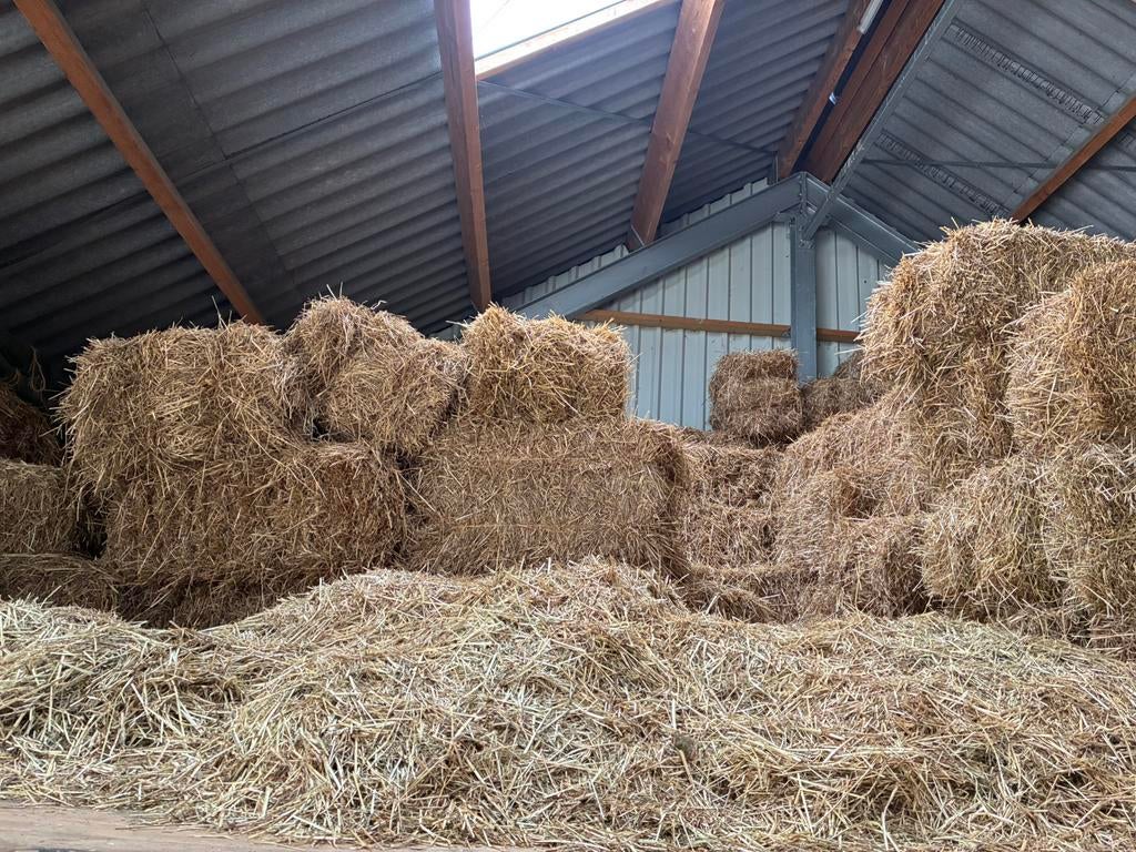 Zolderopruiming hooi, 2025 als afleidingsmateriaal of voer, Dieren en Toebehoren, Dierenvoeding, Ophalen, Vee