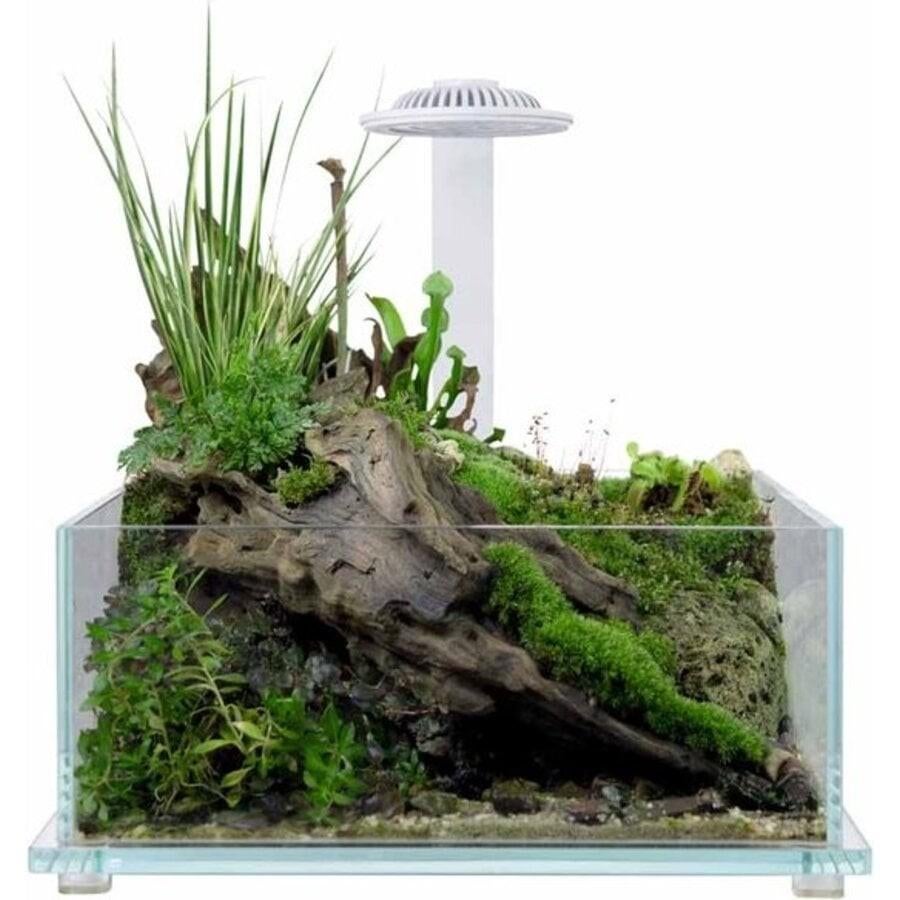 Wabi Kusa Bio Tank Black | 32 x 32 x 14 cm plantenterrarium, Ophalen, Zo goed als nieuw, Leeg aquarium