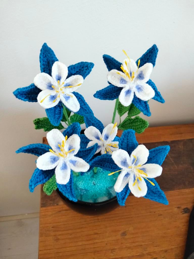 Gehaakte bloemen en planten, Ophalen of Verzenden, Haken, Overige typen